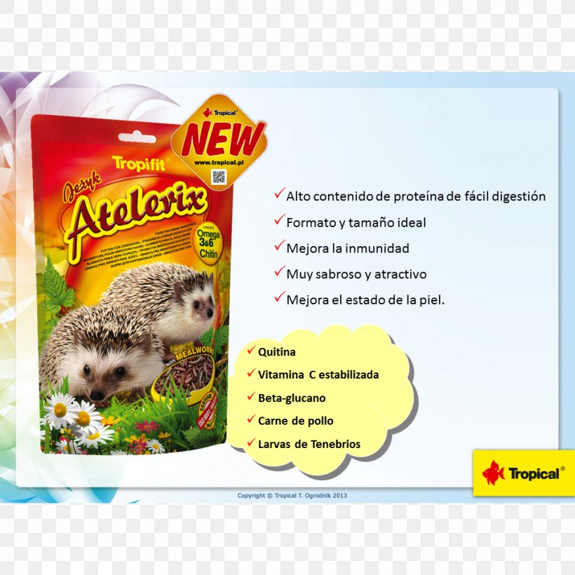 Four-toed Hedgehog Rodent Food Guinea Pig Hérisson, PNG, 960x960px, Fourtoed Hedgehog, Animal, Atelerix, Chinchilla, Domesticated Hedgehog Download Free
