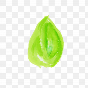Green Leaf Plant Legume PNG