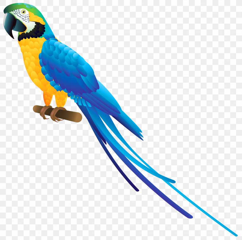 Parrot Bird Blue-and-yellow Macaw Clip Art, PNG, 3316x3290px, Parrot, Animal Figure, Beak, Bird, Blue Download Free