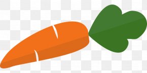 Carrot - Clip Art Vector Graphics Carrot Image PNG