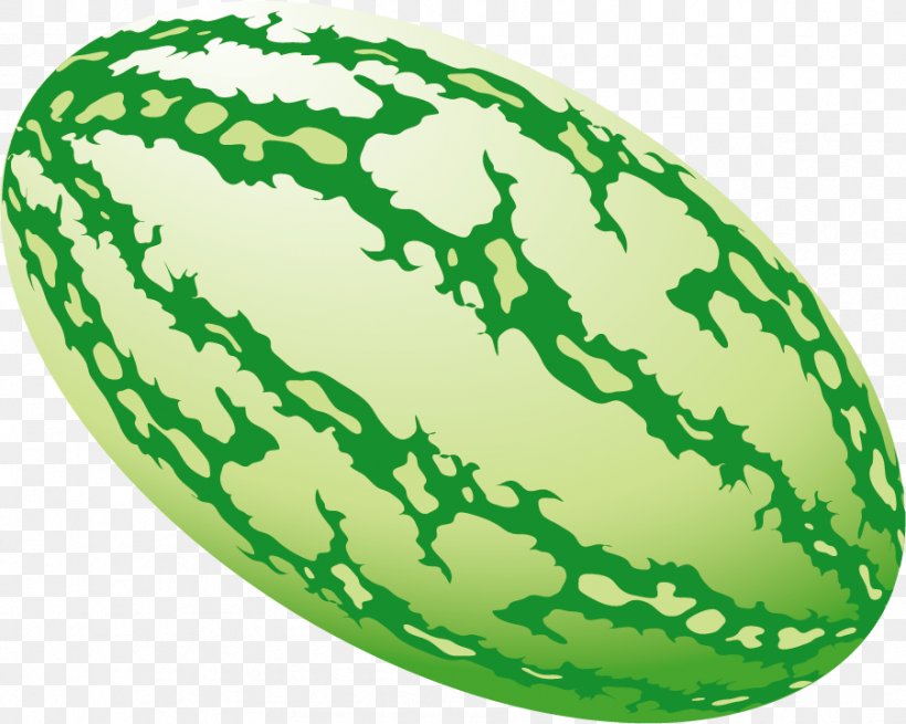 Watermelon Illustration, PNG, 901x720px, Watermelon, Citrullus, Cucumber, Cucumber Gourd And Melon Family, Cucumis Download Free