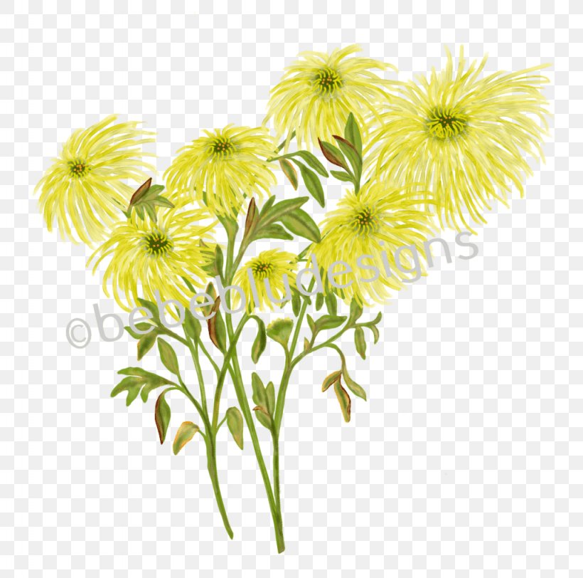 Chrysanthemum Floral Design Spider Information, PNG, 1024x1015px, Chrysanthemum, Artificial Flower, Botany, Chrysanths, Daisy Family Download Free