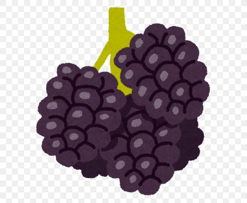 Grape Boysenberry Smoothie Fruit Food, PNG, 648x675px, Grape, Antioxidant, Berry, Blackberry, Boysenberry Download Free