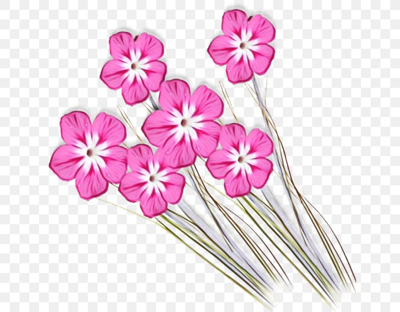 Pink Flower Plant Petal Flowering Plant, PNG, 640x640px, Watercolor, Flower, Flowering Plant, Paint, Pedicel Download Free