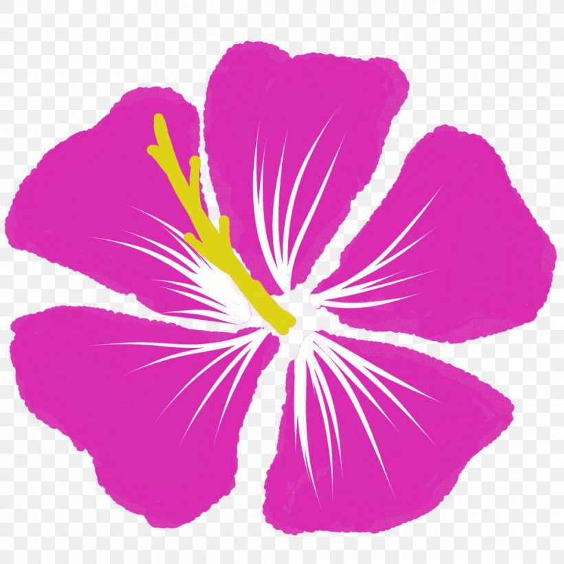 Rosemallows ハイビスカス Pink Violet Red Png 1000x1000px Rosemallows Annual Plant Blue Color Flower Download Free