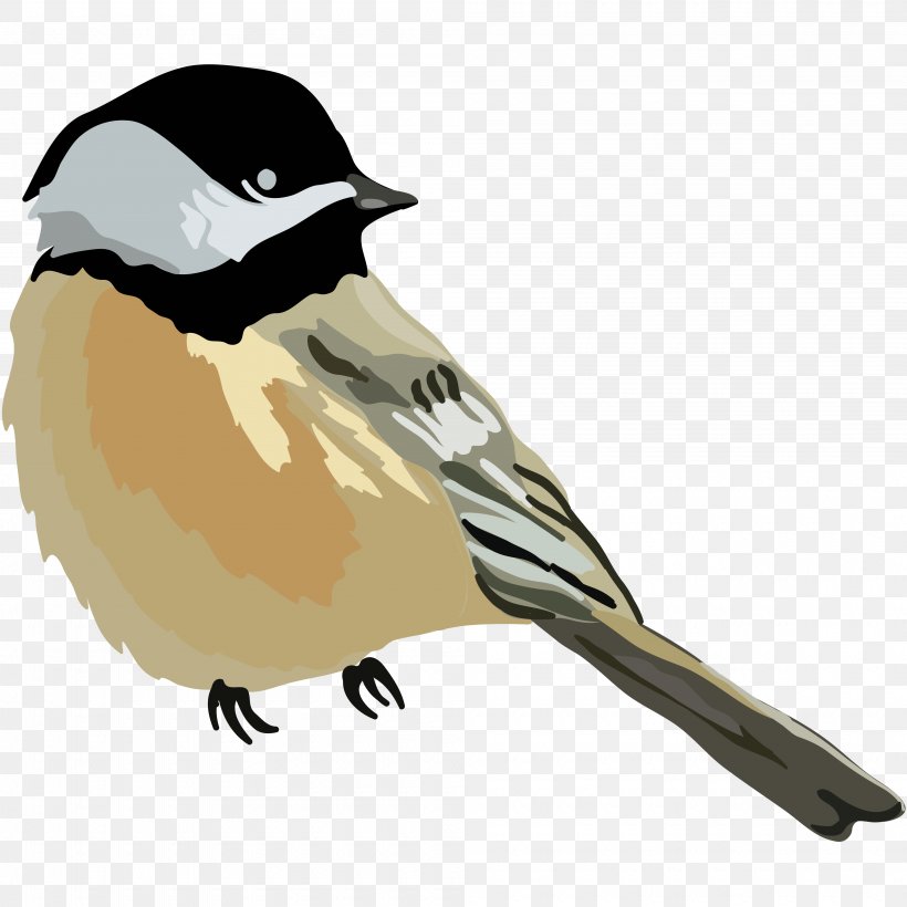 Bird House Sparrow Cartoon Drawing, PNG, 4000x4000px, Bird, Beak, Blog,  Cartoon, Chickadee Download Free