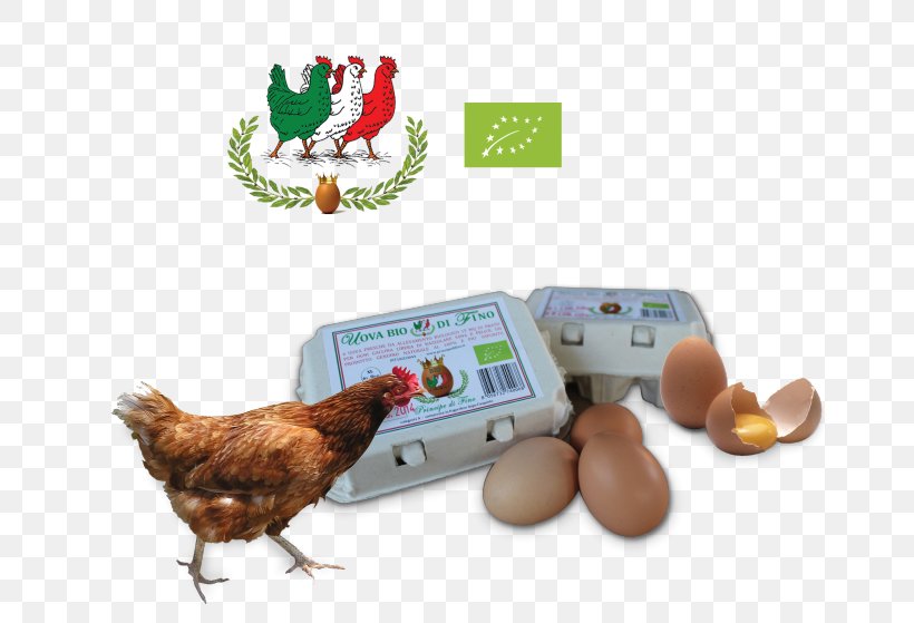 Chicken Egg Animal Husbandry Organic Farming Milk, PNG, 716x559px, Chicken, Animal Husbandry, Biodynamic Agriculture, Egg, Fermentation Download Free