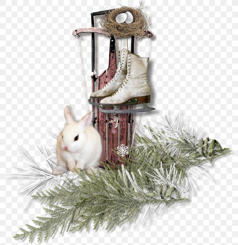 Domestic Rabbit Christmas Ornament, PNG, 800x847px, Domestic Rabbit, Christmas, Christmas Ornament, Rabbit, Rabits And Hares Download Free