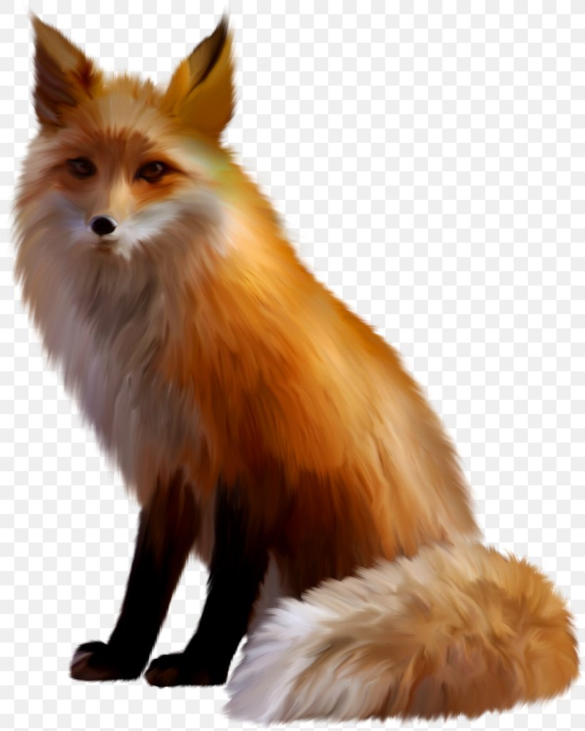 Red Fox Sticker Arctic Fox, PNG, 817x1024px, 2016, Red Fox, Animal, Arctic Fox, Carnivoran Download Free
