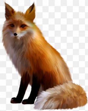 Fox - Red Fox Sticker Arctic Fox PNG