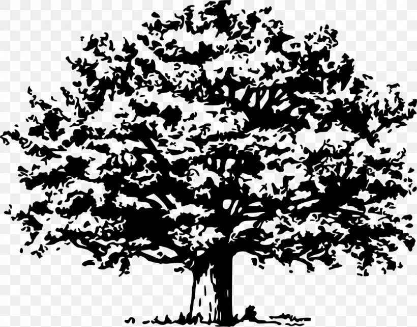 Tree Clip Art, PNG, 1000x784px, Tree, Black And White, Branch, Diagram, Drawing Download Free
