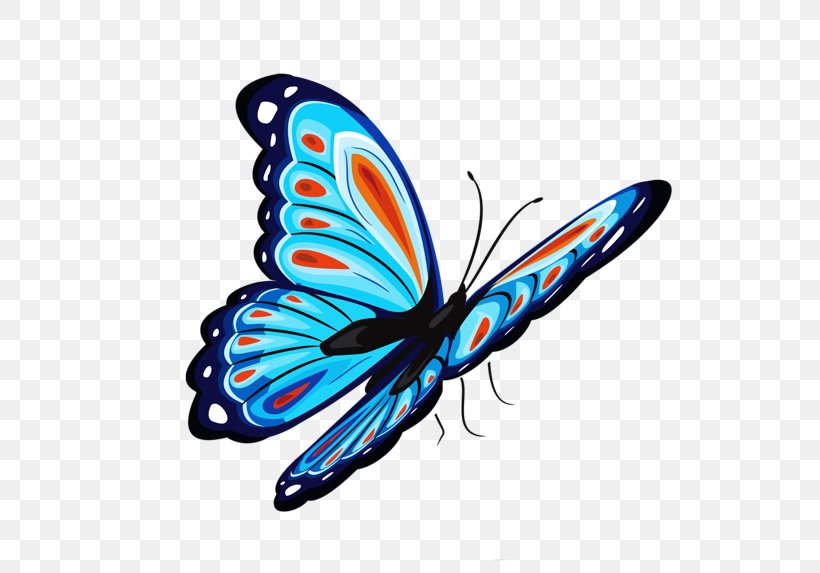 Butterfly Desktop Wallpaper Clip Art, PNG, 600x573px, Butterfly, Arthropod, Brush Footed Butterfly, Brushfooted Butterflies, Display Resolution Download Free