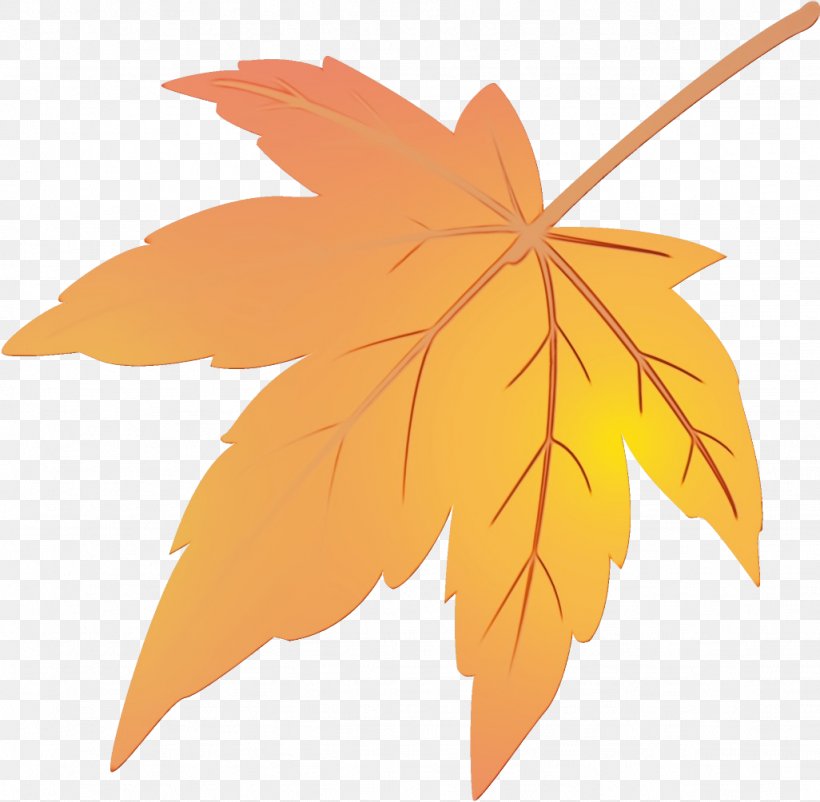Maple Leaf, PNG, 1026x1004px, Watercolor, Black Maple, Deciduous, Leaf, Maple Download Free