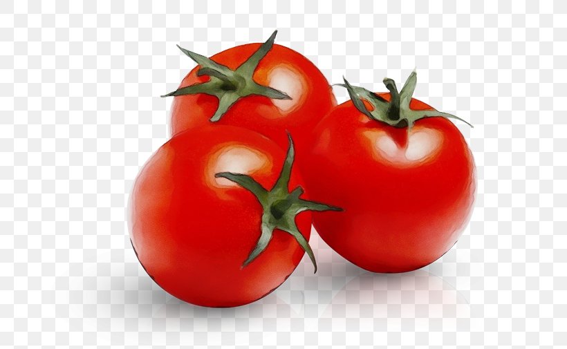 Tomato, PNG, 799x505px, Watercolor, Bush Tomato, Food, Fruit, Local Food Download Free