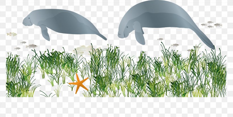 Vector Fish, PNG, 3087x1553px, Artworks, Cartoon, Commodity, Designer, Ecosystem Download Free