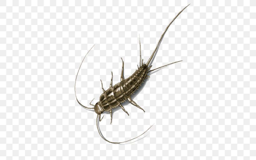 Insect Silverfish Pest Control House Centipede, PNG, 512x512px, Insect, Animal Source Foods, Bed Bug, Bed Bug Control Techniques, Centipedes Download Free