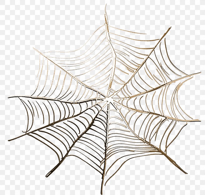 Spider Web Spider Silk Clip Art, PNG, 1169x1113px, Spider, Collage, Drawing, Leaf, Net Download Free