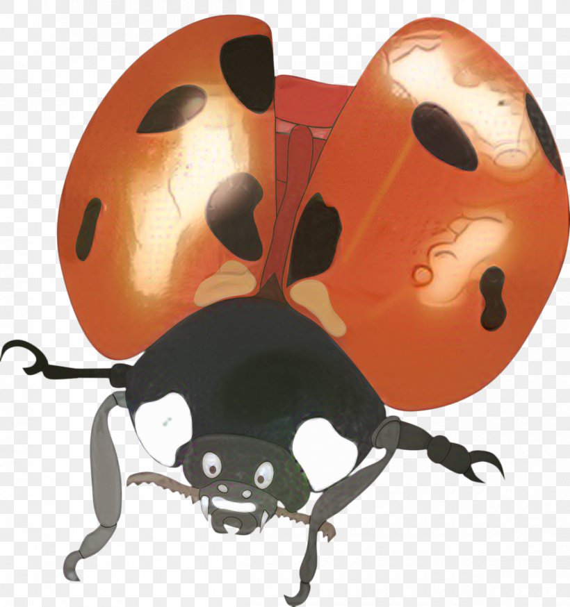 The Beetle Clip Art Design Ladybird Beetle, PNG, 1200x1280px, Beetle, Art, Arthropod, Cartoon, Firefly Download Free