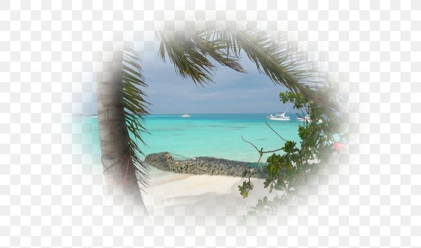 Beach Image Picture Frames Text Sun Tanning, PNG, 642x483px, Beach, Arecales, Azure, Bay, Caribbean Download Free
