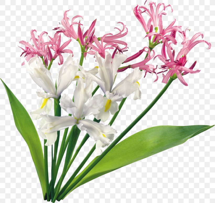 Cut Flowers Flower Bouquet Clip Art, PNG, 1600x1518px, Cut Flowers, Blossom, Digital Image, Flower, Flower Bouquet Download Free