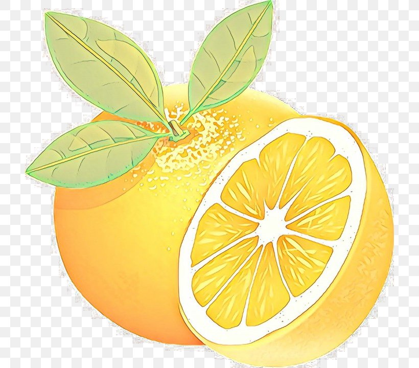 Lemon Leaf, PNG, 722x720px, Lemon, Bitter Orange, Citric Acid, Citron, Citrus Download Free