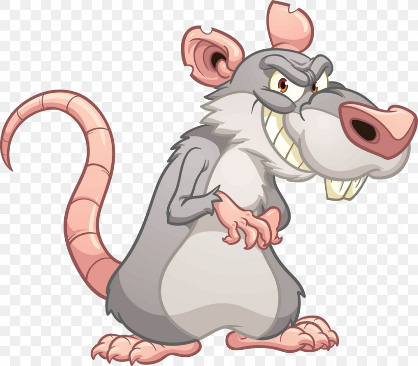 Rat Cartoon Mouse Muridae Muroidea, PNG, 1000x878px, Rat, Cartoon, Mouse, Muridae, Muroidea Download Free