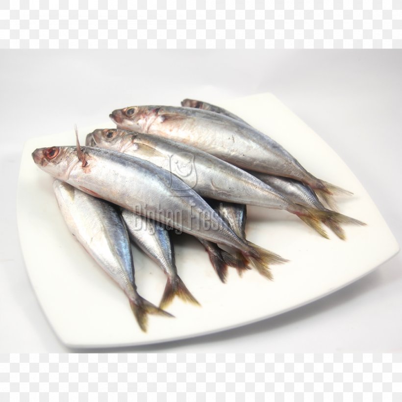 Sardine Kipper Pacific Saury Fish Products Blackfin Scad, PNG, 1000x1000px, Sardine, Anchovies As Food, Anchovy, Anchovy Food, Animal Source Foods Download Free