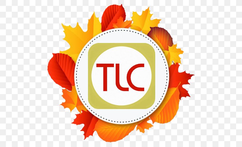Thanksgiving Logo, PNG, 500x500px, Thanksgiving, Brand, Flower, Logo, Orange Download Free