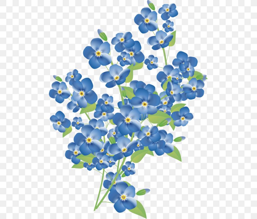 Flower Myosotis Stricta Watercolor Painting Clip Art, PNG, 507x699px, Flower, Blue, Bluebonnet, Borage Family, Borages Download Free