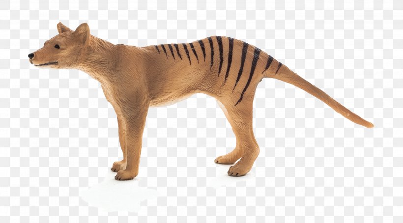 Tiger Thylacine Stuffed Animals & Cuddly Toys Hobart Zoo Plush, PNG, 2784x1542px, Tiger, Animal, Animal Figure, Big Cat, Big Cats Download Free