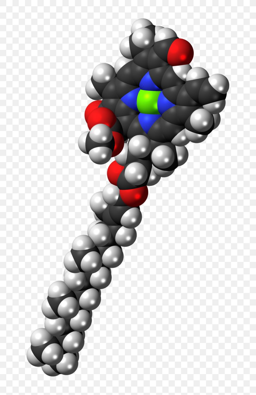 Chlorophyll A Chlorophyll B Molecule Photosynthesis, PNG, 768x1267px, Chlorophyll, Absorption, Art, Biological Pigment, Body Jewelry Download Free