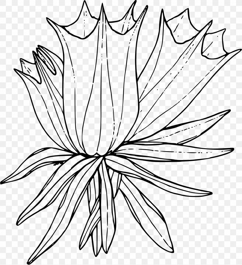 Leaf Line Art Black-and-white Plant Coloring Book, PNG, 2183x2400px, Leaf, Blackandwhite, Coloring Book, Flower, Herbaceous Plant Download Free