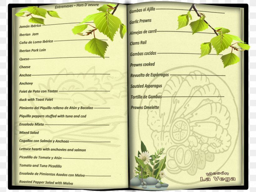 Leaf Plant Stem Flower Tree Font, PNG, 1600x1200px, Leaf, Flora, Flower, Green, Plant Download Free