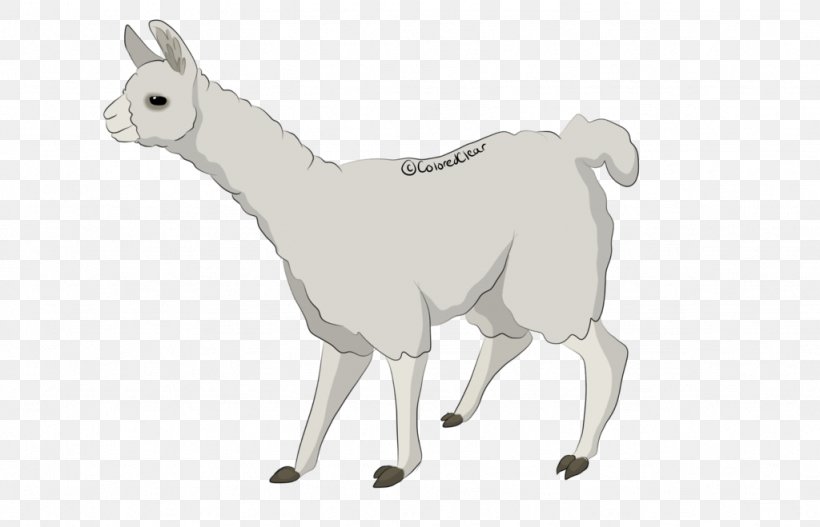 Sheep Cattle Goat Llama Horse, PNG, 1024x659px, Sheep, Animal, Animal Figure, Camel Like Mammal, Cartoon Download Free