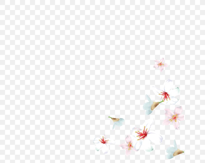 Cherry Blossom Desktop Wallpaper Flowering Plant ST.AU.150 MIN.V.UNC.NR AD, PNG, 653x653px, Cherry Blossom, Blossom, Branch, Cherry, Computer Download Free