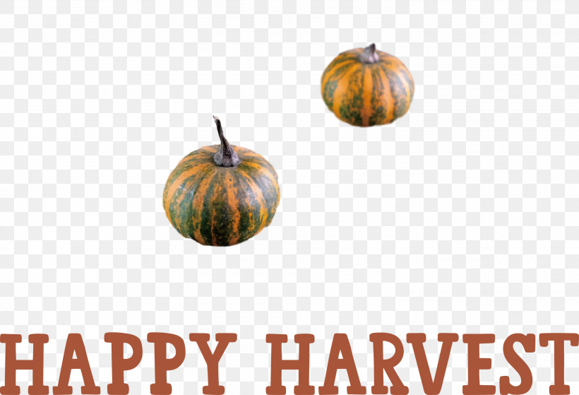 Happy Harvest Harvest Time, PNG, 3000x2046px, Happy Harvest, Gourd, Harvest Time, Meter, Squash Download Free