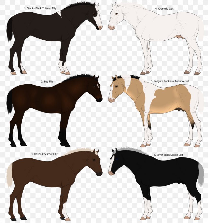 Mustang Pony Silhouette, PNG, 1024x1097px, Mustang, Agricultural Show, Bridle, Colt, Farm Download Free