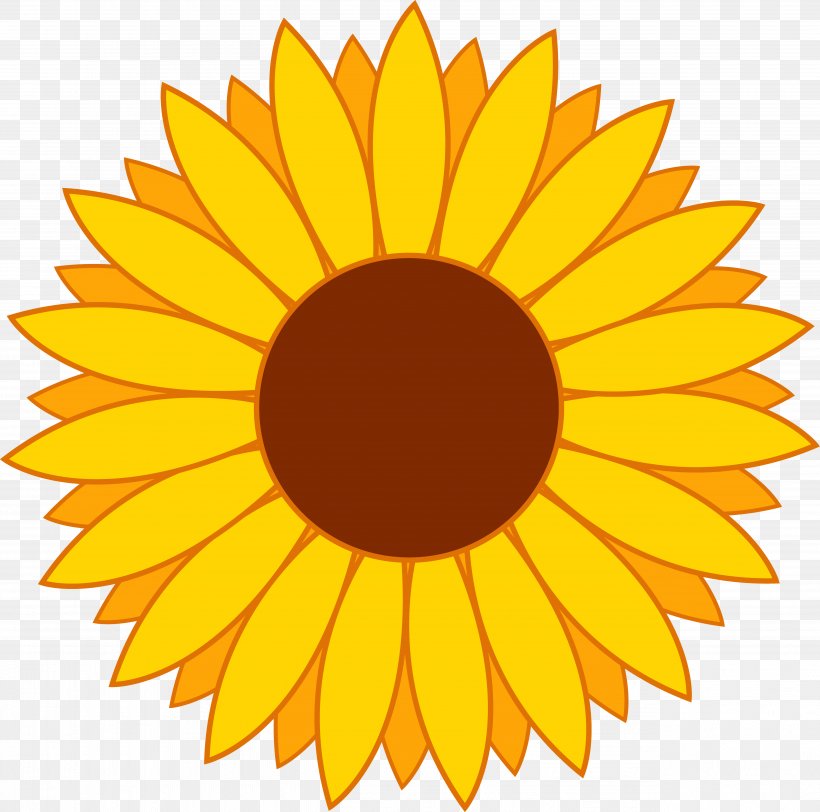 Common Sunflower Clip Art, PNG, 5110x5064px, Common Sunflower, Art, Cartoon, Daisy Family, Drawing Download Free