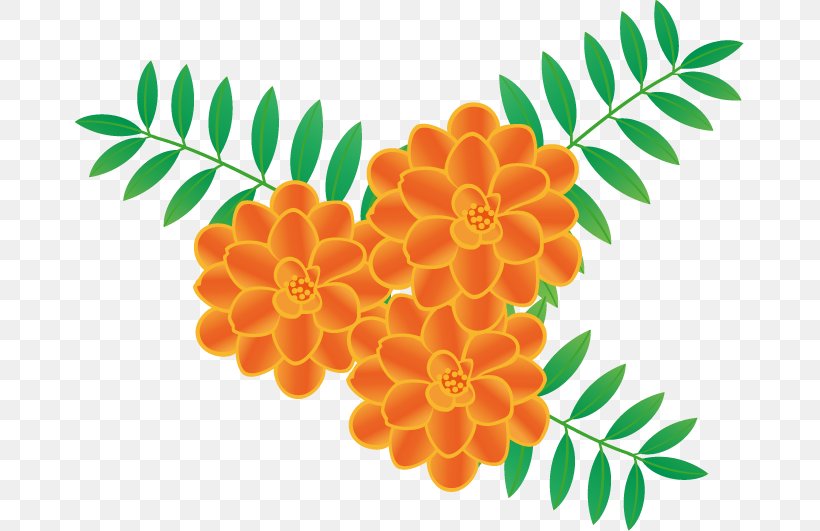 Flower Art Marigold Royalty-free, PNG, 669x531px, Flower, Art, Flowering Plant, Fruit, Marigold Download Free
