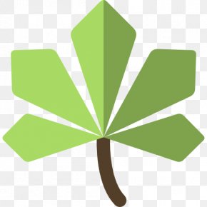 Leaf - Maple Leaf PNG
