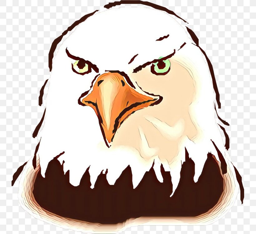 Bird Eagle Head Clip Art Beak, PNG, 745x750px, Cartoon, Bald Eagle, Beak, Bird, Bird Of Prey Download Free