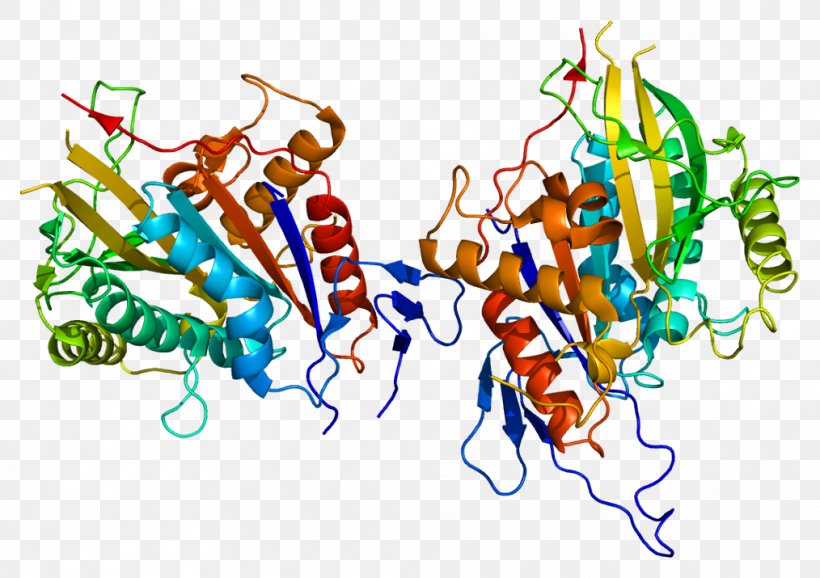 Cenpe Motor Protein Centromere CENPA, PNG, 1014x715px, Protein, Art, Centromere, Dna, Food Download Free