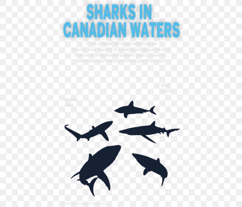 Dolphin Killer Whale Shark Logo Font, PNG, 415x700px, Dolphin, Brand, Cetacea, Fish, Killer Whale Download Free