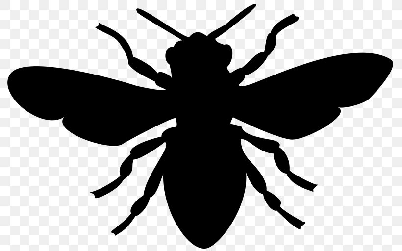European Dark Bee Honey Bee Bumblebee, PNG, 800x512px, Bee, Art, Arthropod, Artwork, Black And White Download Free
