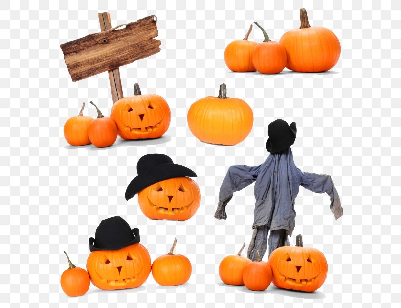Halloween Jack-o'-lantern Pumpkin Holiday, PNG, 630x630px, Halloween, Calabaza, Christmas, Cucurbita, Food Download Free