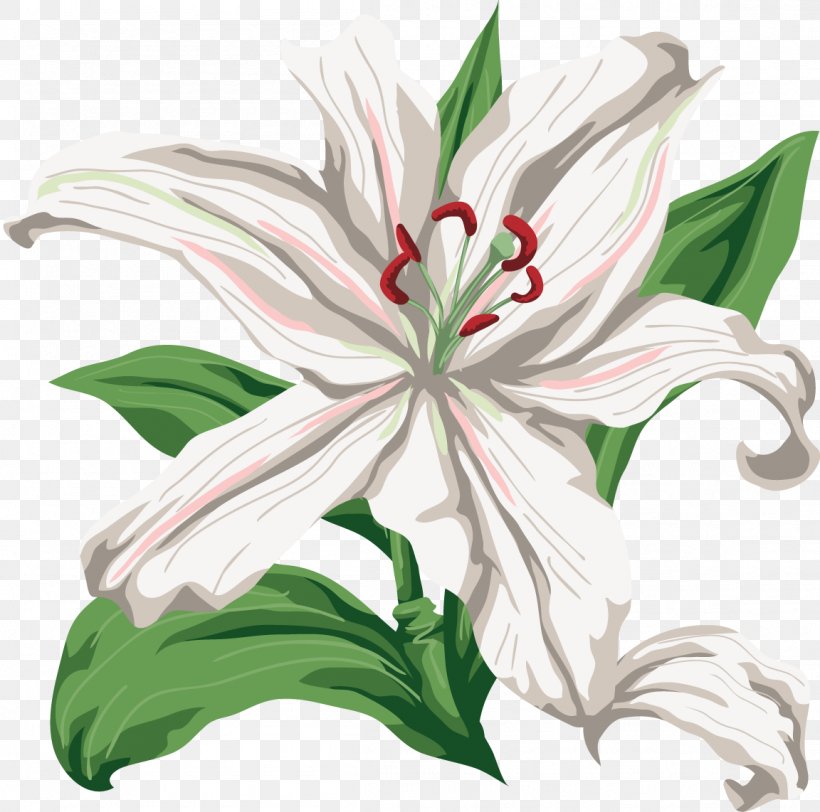 Lilium Cut Flowers Clip Art, PNG, 1152x1142px, Lilium, Cut Flowers, Daylily, Flower, Flowering Plant Download Free