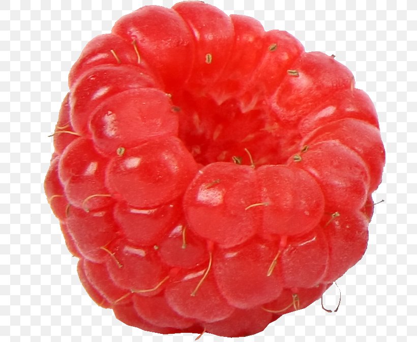 Red Raspberry Fruit Dewberry, PNG, 700x672px, Raspberry, Amora, Auglis, Berry, Blackberry Download Free