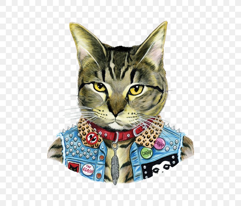 Tabby Cat Punk Rock Punk Subculture Pet, PNG, 700x700px, Cat, Aegean Cat, American Bobtail, American Shorthair, American Wirehair Download Free