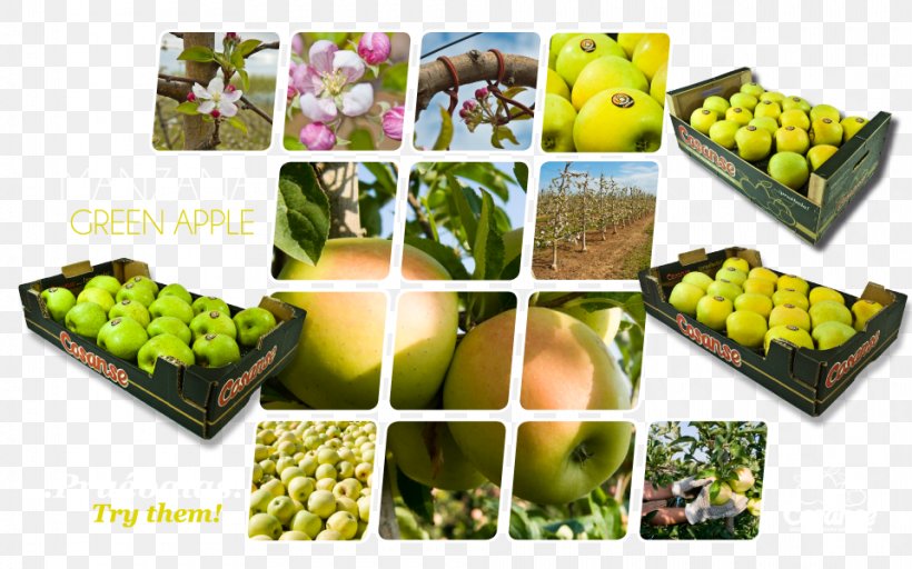Vegetarian Cuisine Fruit Food Apple Cosanse, PNG, 960x600px, Vegetarian Cuisine, Apple, Apricot, Cherry, Diet Food Download Free