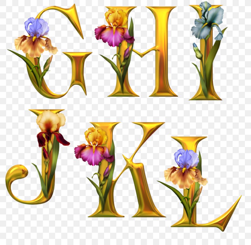 Alphabet Letter Flower Floral Design Render, PNG, 800x800px, Alphabet, Branch, Cut Flowers, Dictionary, Flora Download Free